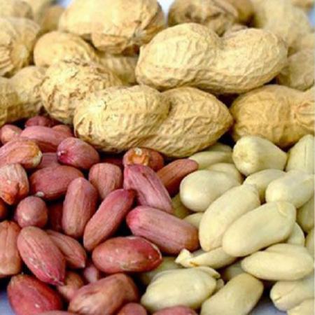 تهیه بادام زمینی به قیمت روز بازار در ایران